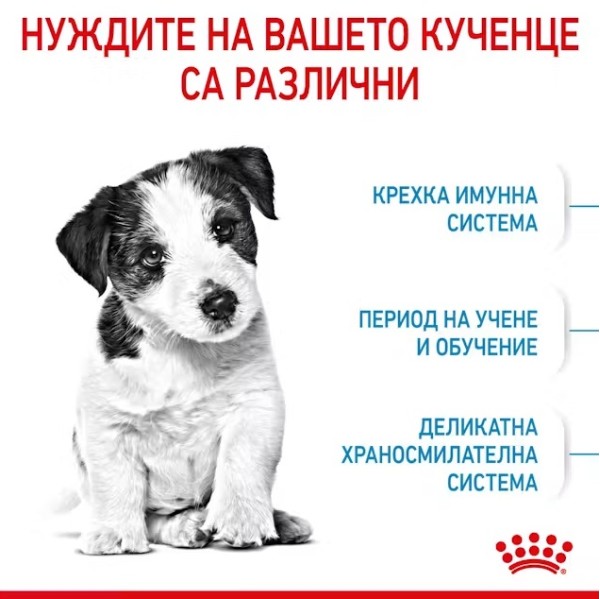 Royal Canin Puppy Mini - Пълноценна суха храна за подрастващи кученца от 2 до 10 месечна възраст от дребни породи
